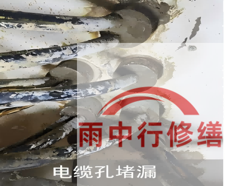 连云港电缆线空洞堵漏加固案例