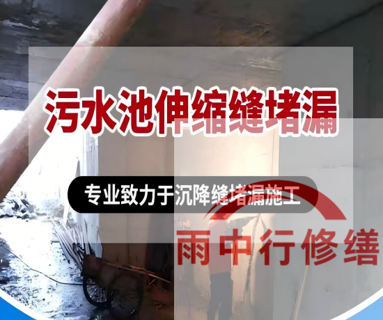 连云港某污水处理厂钢筋混凝土池堵漏案例